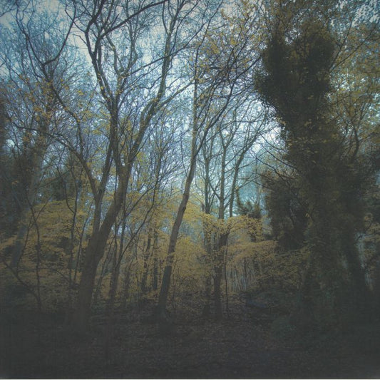 WORRIEDABOUTSATAN - TIME LAPSE [LP]