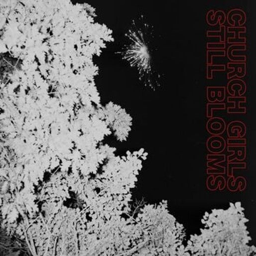 Church Girls - Still Blooms [Frosted Clear Vinyl]