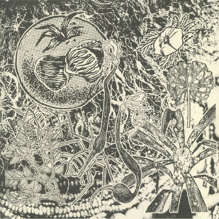 MADTEO - Str8 crooked