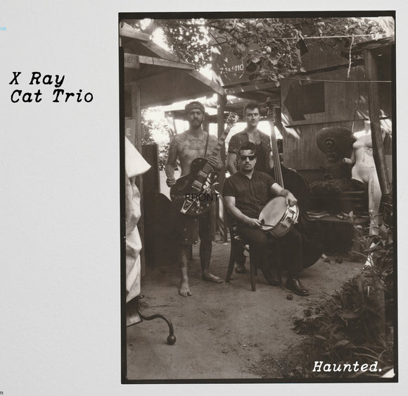 X Ray Cat Trio - Haunted [CD]