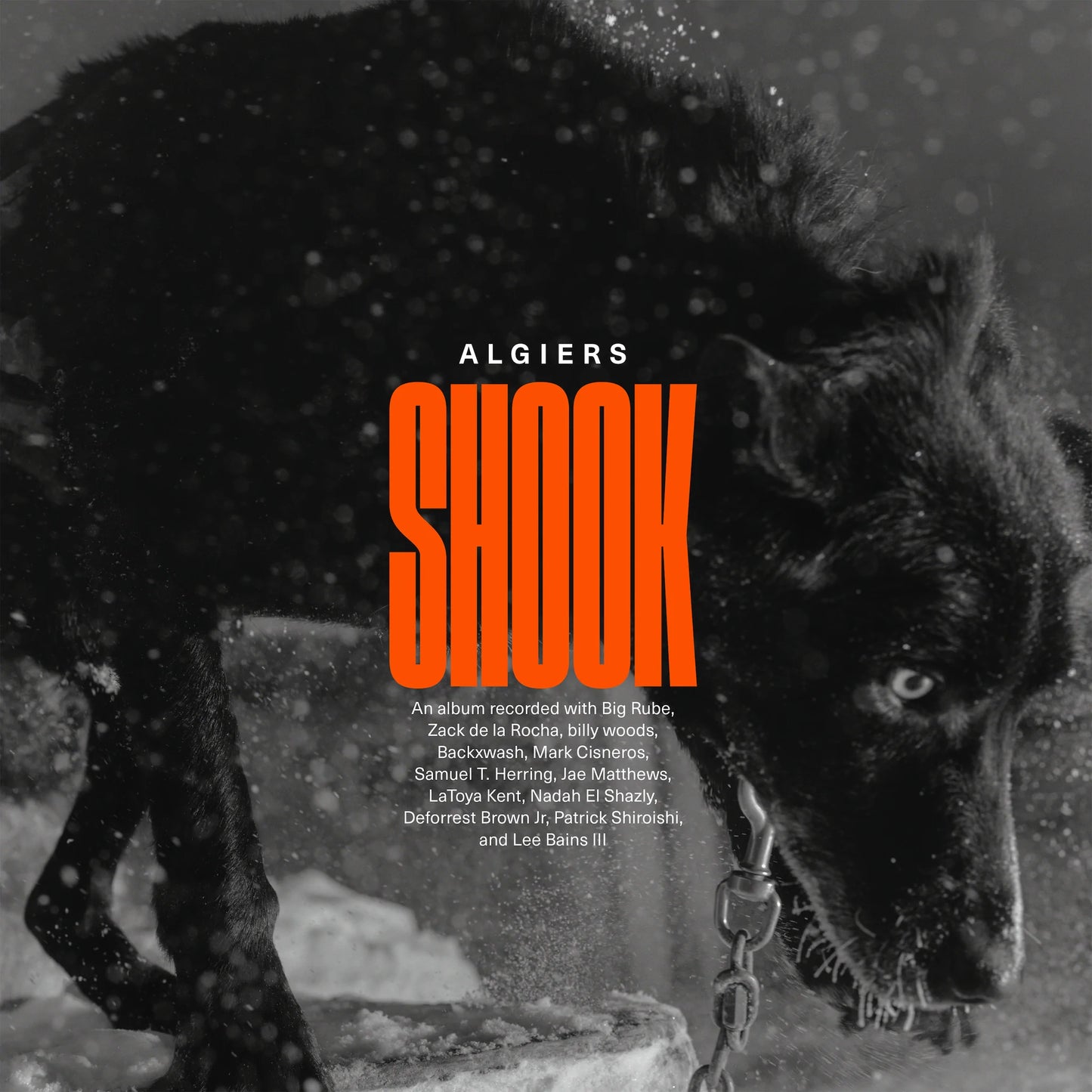 Algiers - Shook [CD]