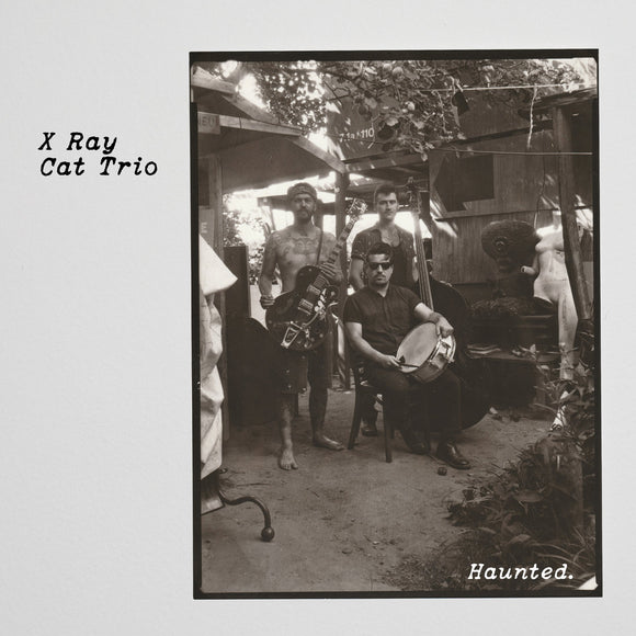 X Ray Cat Trio - Haunted [LP]