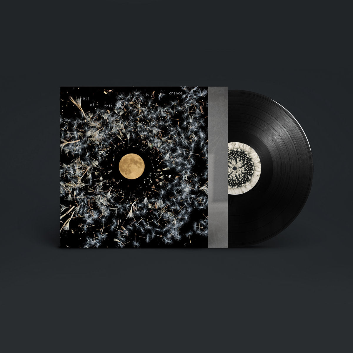 Lisa O'Neill - All Of This Is Chance [LP]