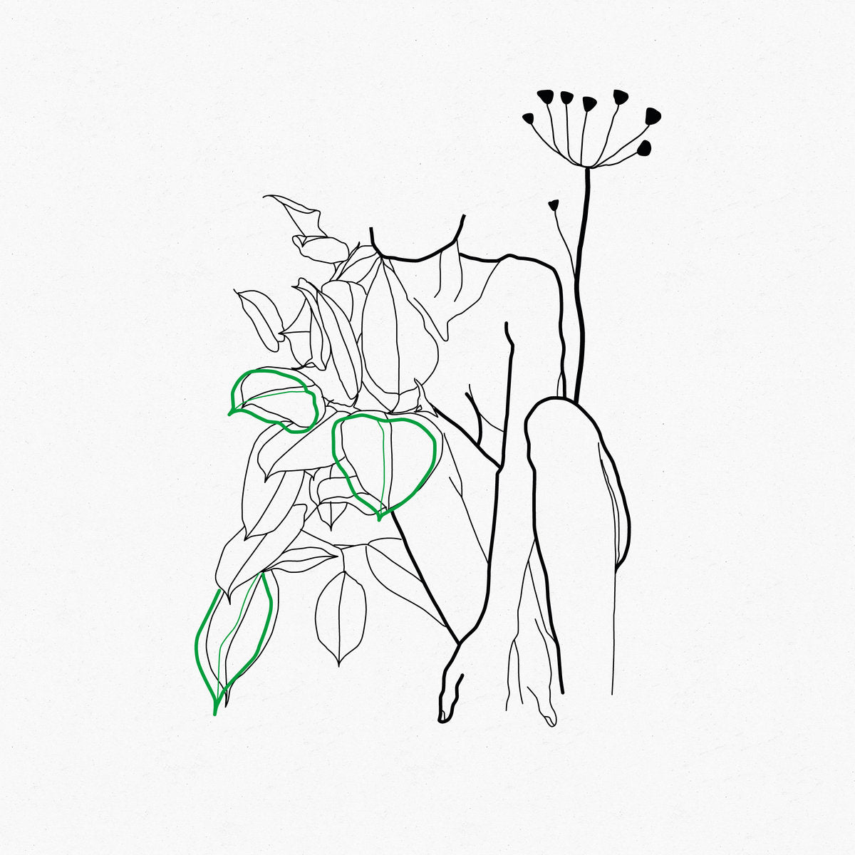 Bop x Subwave - Renaissance [CD]