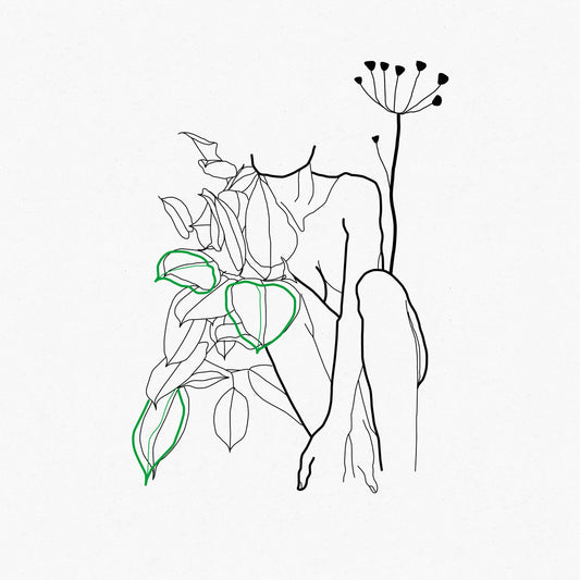 Bop x Subwave - Renaissance [CD]