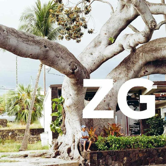 ZG - ZG (LP incl. DL code)