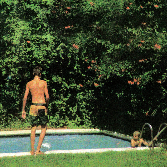 TOLEDO - How It Ends [CD]