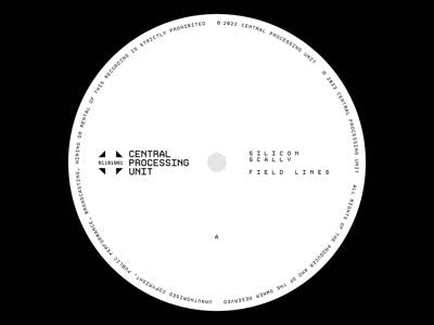 Silicon Scally - Field Lines