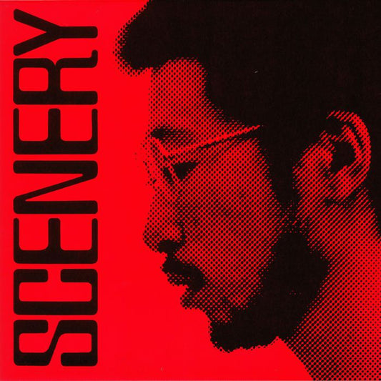 RYO FUKUI - SCENERY [LP]