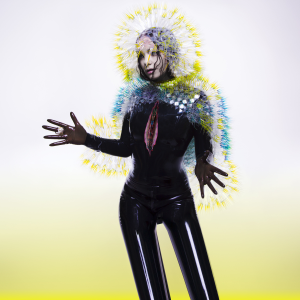 Bjork - Vulnicura (2LP/GF)