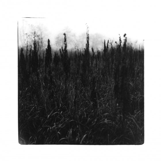 David Bennet & Vilhelm Bromander - Within Reach Of Eventuality