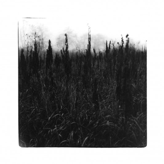 David Bennet & Vilhelm Bromander - Within Reach Of Eventuality