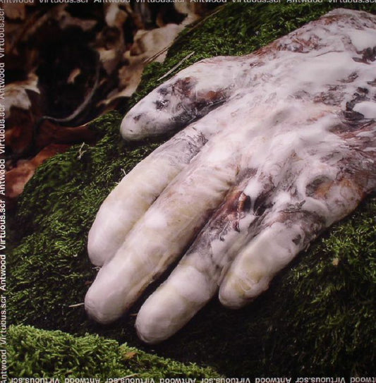 ANTWOOD - VIRTUOUS.SCR