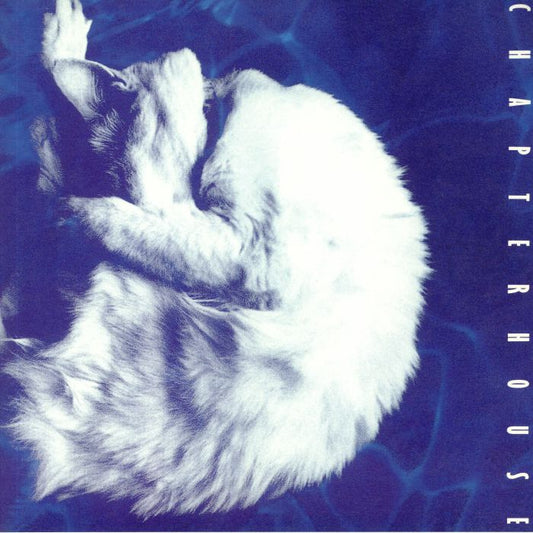 Chapterhouse - Whirlpool (1LP Black)