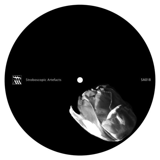 Zeitgeber - Body out Body In
