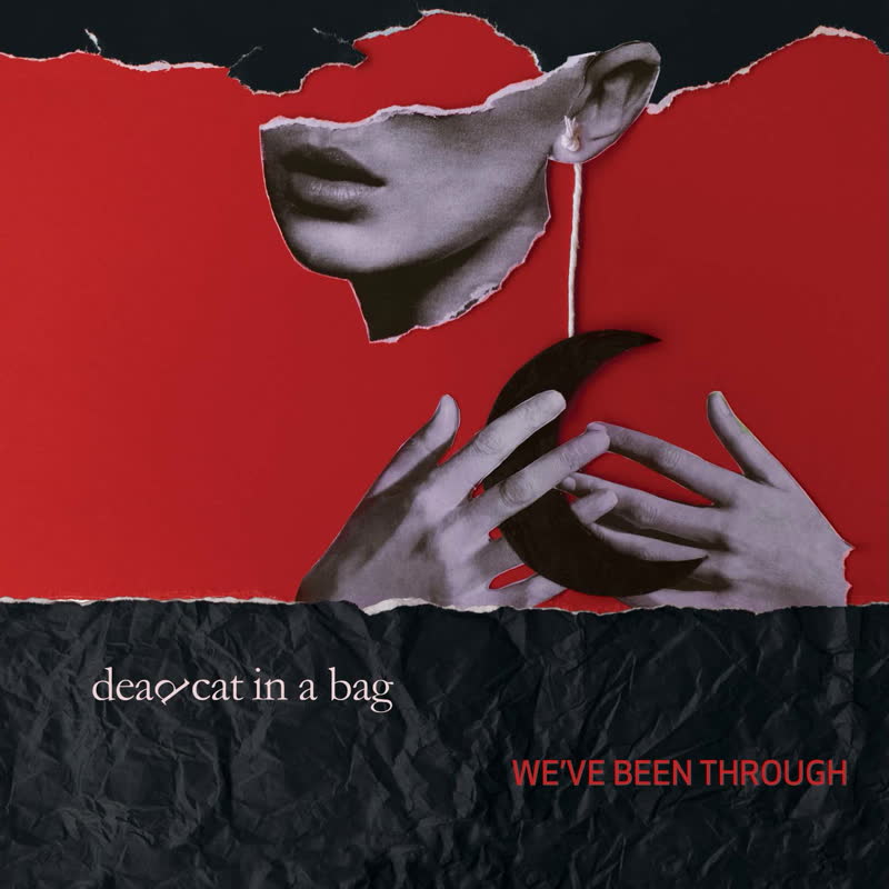 Dead Cat in a Bag - We've Been Through