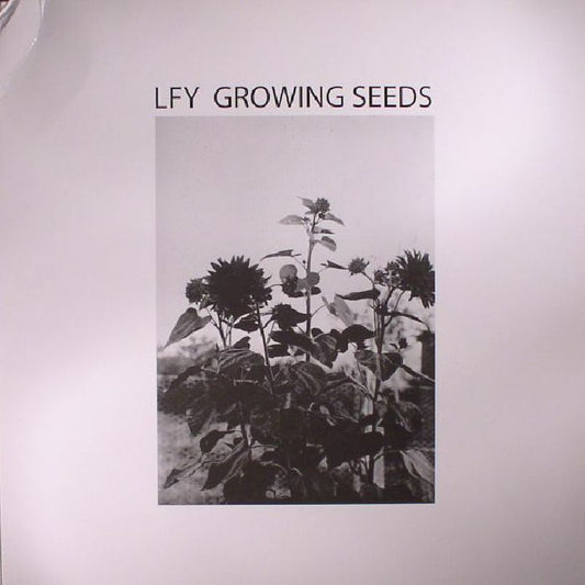 Lust For Youth – Growing Seeds