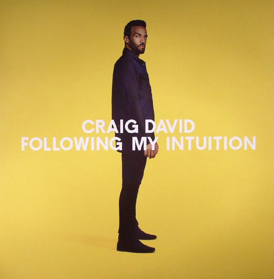 Craig David - Following My Intuition