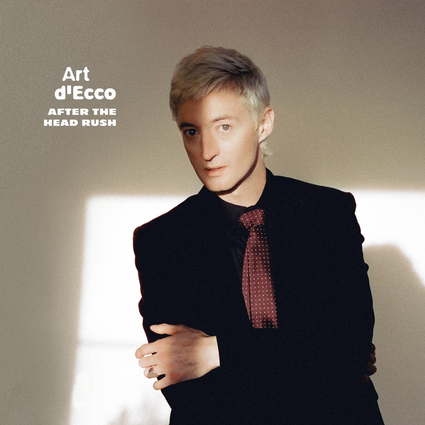 Art d'Ecco - After The Head Rush [Vinyl]