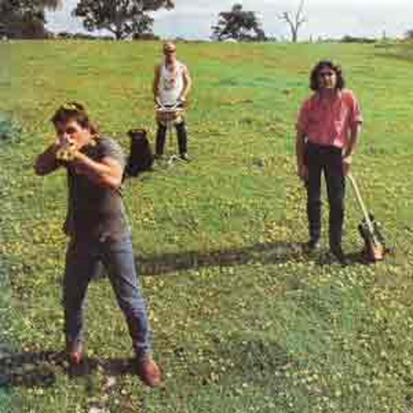 COSMIC PSYCHOS - DOWN ON THE FARM [LP]