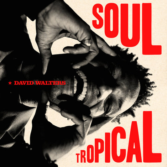 David Walters - Soul Tropical [CD]