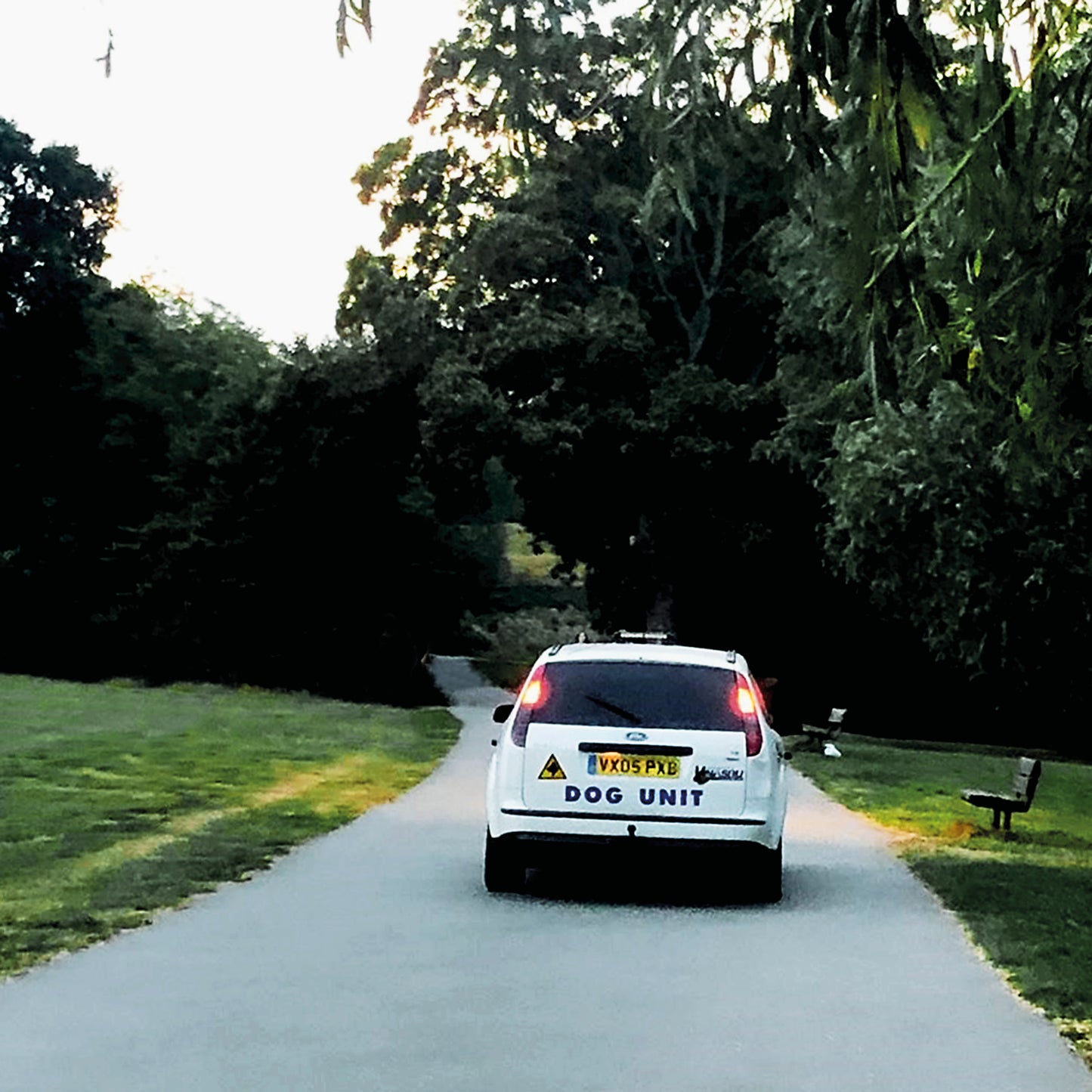 Dog Unit - Turn Right and Right Again