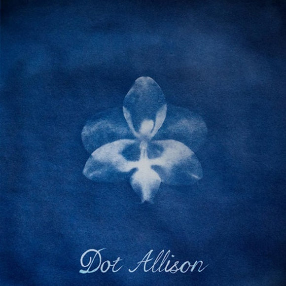 Dot Allison - Ghost Orchid