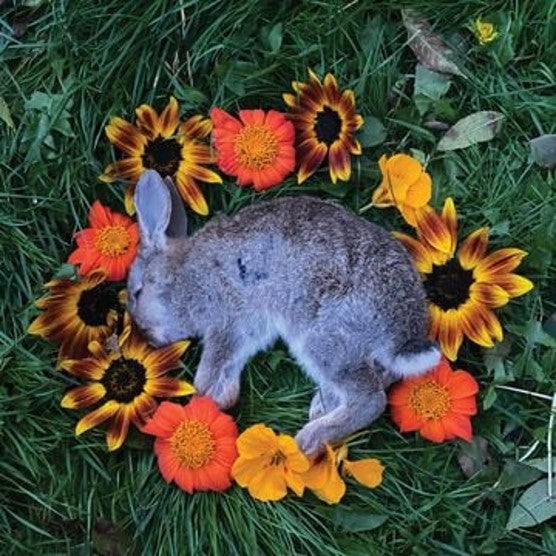 Monolord - Your Time To Shine Kelly (Green Vinyl)