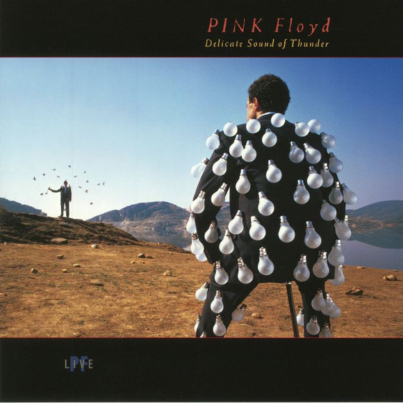 Pink Floyd - Delicate Sound Of Thunder (2LP/Gat/2017)