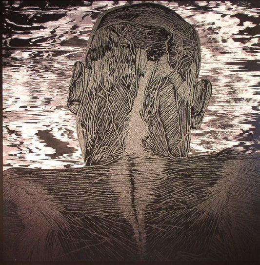 ASHER LEVITAS - LIT HARNESS