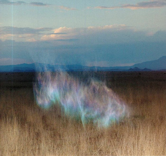 HOLLIE KENNIFF - THE GATHERING DAWN [CD]