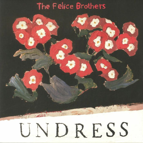 THE FELICE BROTHERS - UNDRESS