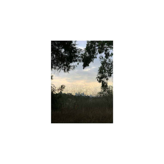 Jon Porras - Arroyo [LP]