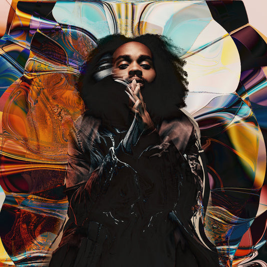 Fly Anakin - Frank [LP]