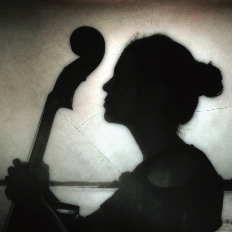 Dom La Nena - Leon [LP]