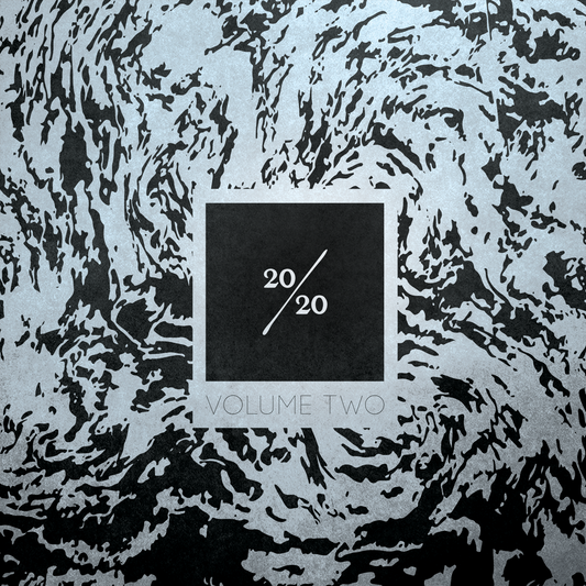 20/20 vol 2 (20/20 vinyl)