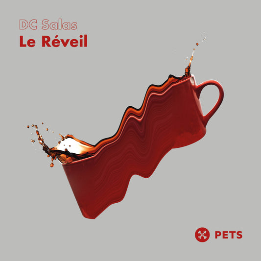 DC Salas - Le ReÉveil EP