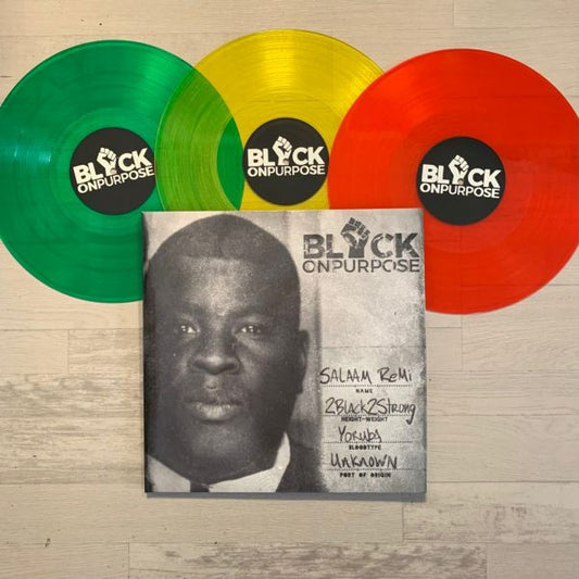 Salaam Remi - Black On Purpose LP