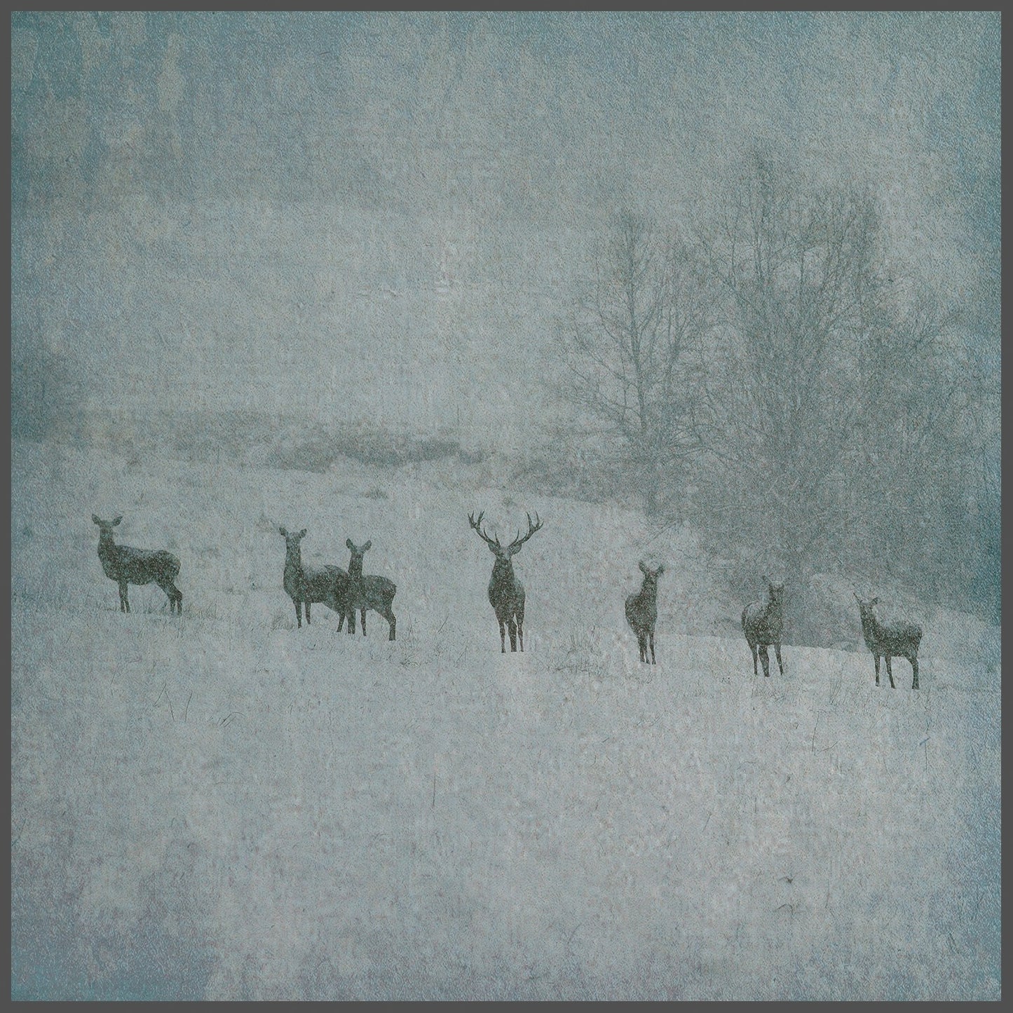 Rauhnåcht - Winterstille [3-sided 2LP in icefrost splattervinyl]
