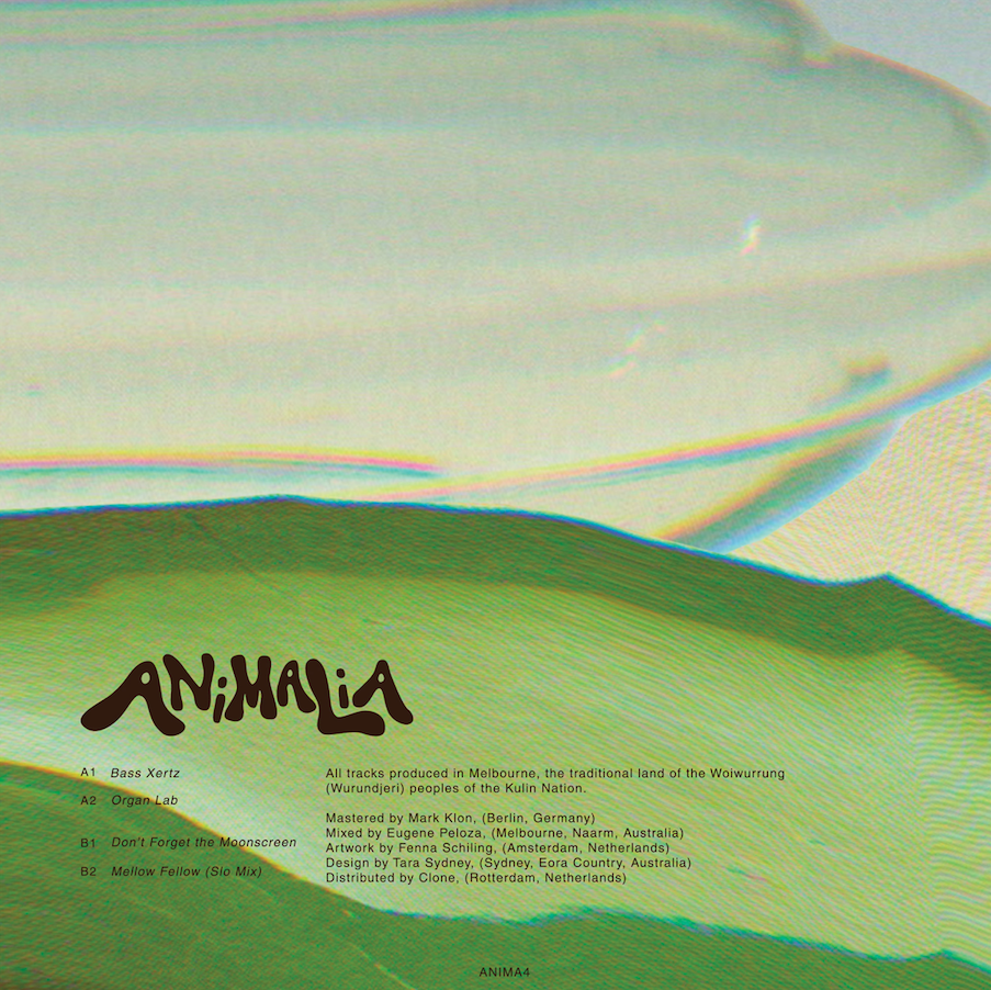 Dolly - Don't Forget the Moonscreen