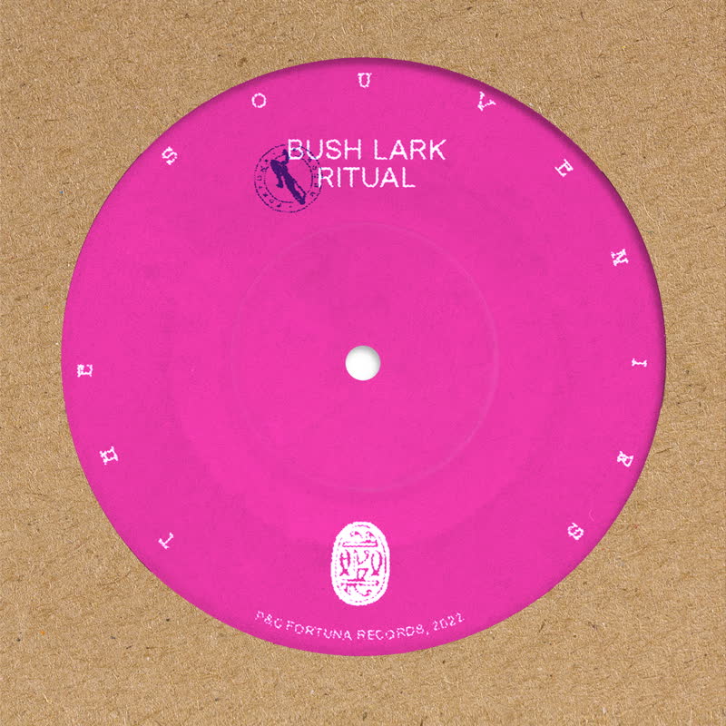 The Souvenirs - Bush Lark Ritual