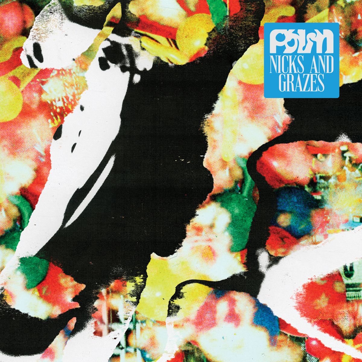 Palm - Nick and Grazzes [LP]