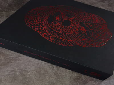 Various Artists - Serpent Made of the Snake's Desire: Bedouin Records Selected Discography 2014-2016