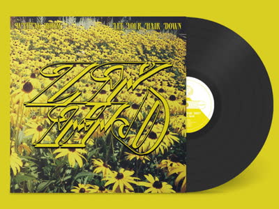 Let Your Hair Down - Waiting Room