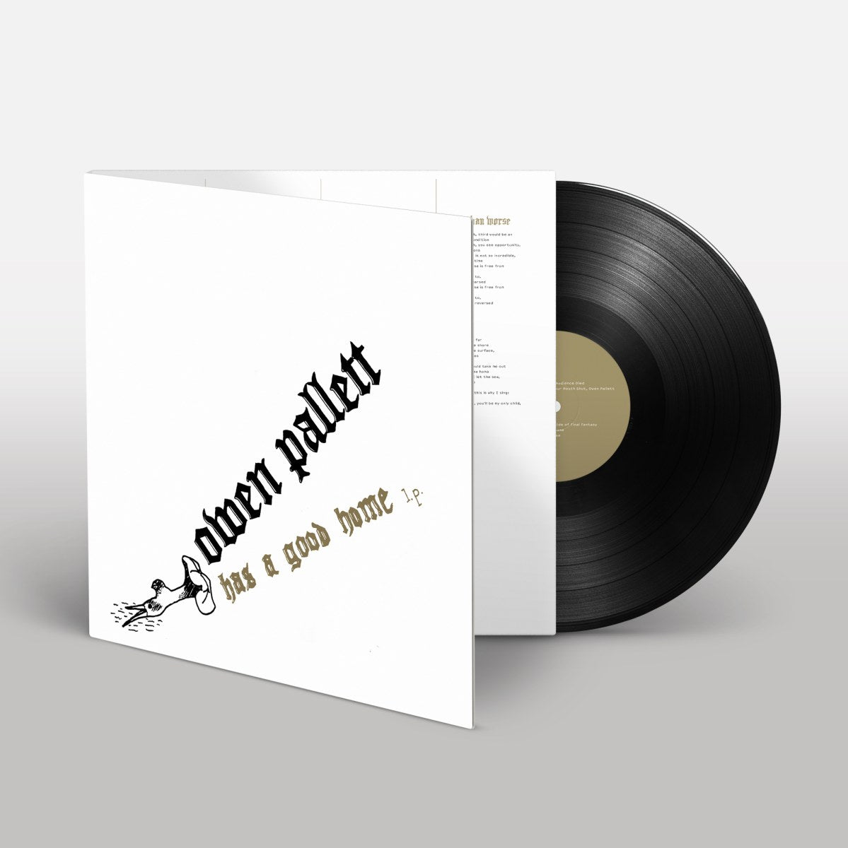 Owen Pallett - Has A Good Home