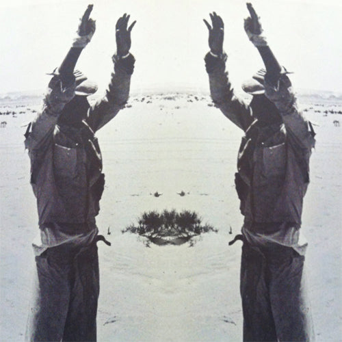 VARIOUS ARTISTS - WOLF EP 22