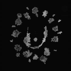 VARIOUS ARTISTS - INCANTATIONS