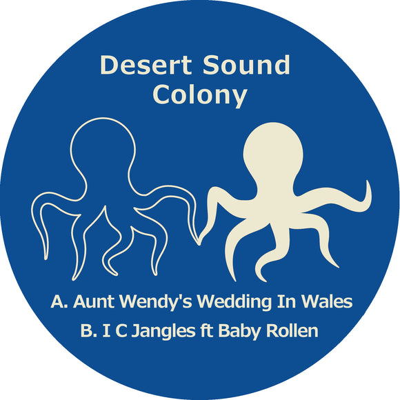 DESERT SOUND COLONY - Aunt Wendy's Wedding In Wales
