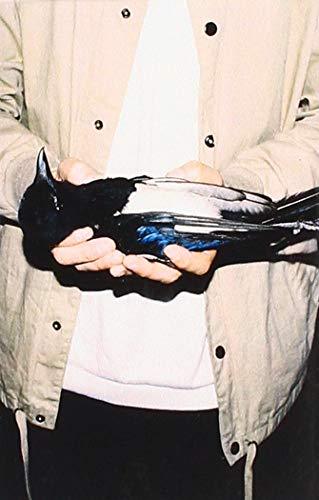 SAM FENDER DEAD BOYS [Cassette]