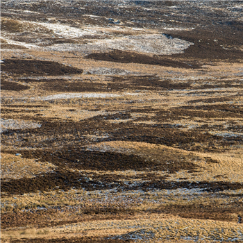 Orior - Still Strange (Green Vinyl)